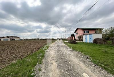 Parcele 550 mp, PUZ nou, langa case construite, asfalt, SAG-Manastire - 3