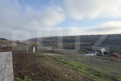 Casa Satul de vacanta Podari, 500 mp teren, priveliste panoramica - 19