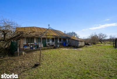 Teren de 3600 mp, în Păulești - 4