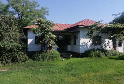 Casa de vanzare cu teren mare in satul Bolovani, 45km Bucure?ti - 1