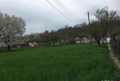 Casă cu 4 camere cu Teren 2300 Mp în Băneasa - 2