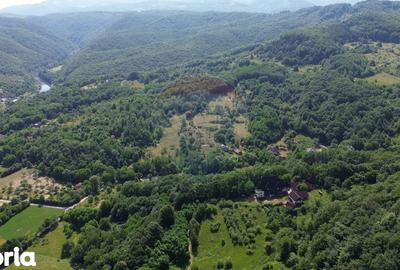 Casă cu Teren 24700 Mp în Copalnic - 7