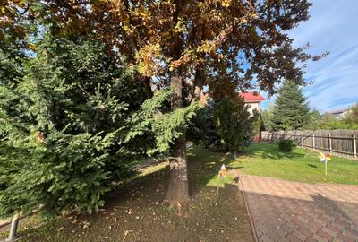 Soseaua Oltenitei casa cu potential fantastic - 1