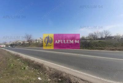 Teren de 4800 mp, în Glina - 4