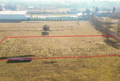 Teren de 3500 mp, în Griviței - 3