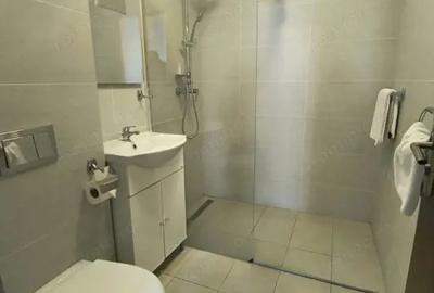 Spațiu comercial, de 800 mp, în Brâncoveanu - 3