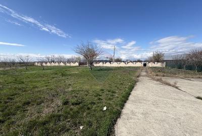 Casă cu 5 camere cu Teren 3400 Mp în Răchitosu - 28