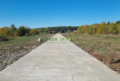 Vanzare lot 550 mp - Calea Bucuresti (DN1) Saftica - 3