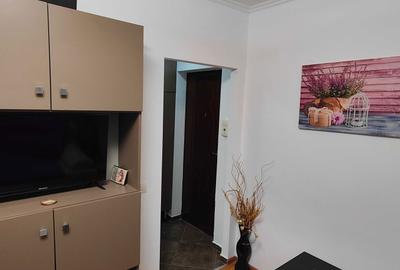 Garsonieră în Theodor Pallady