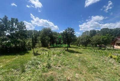 Teren de 3200 mp, în Goranu