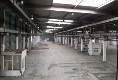 Spațiu comercial, de 20,000 mp, în Timișoara - 15