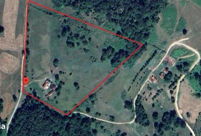 Casă cu 4 camere în Zece Hotare - 1