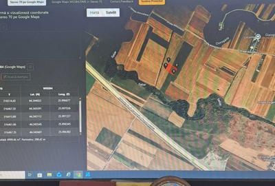 Teren de 5000 mp, în Vârteju - 6