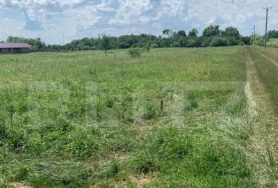 Teren Extravilan de Vanzare 40 Arii Strada Spicului - 2