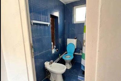Casa de vanzare in Cetate Dolj,2 case renovate complet la cheie , casa de vacanta - 7