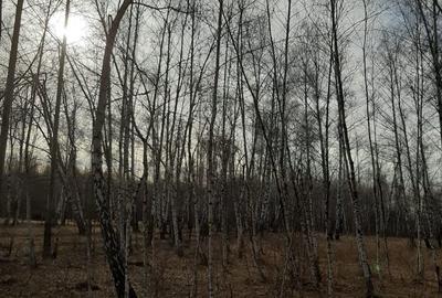 Spațiu comercial, în Baia de Fier - 3