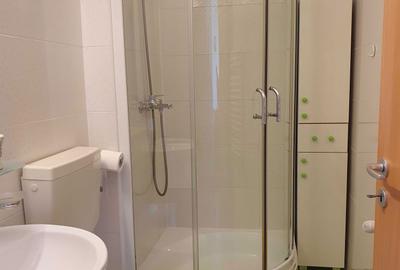 Garsonieră decomandată în Lujerului - 7