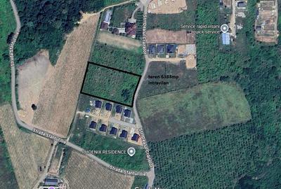 Teren Construcții intravilan de 6383 mp, în Vișan - 10