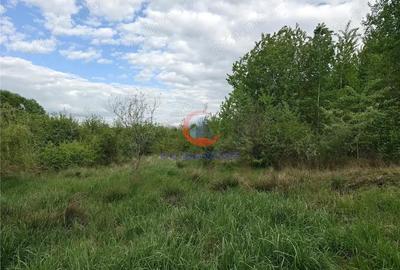 Teren Lacul Surduc Fardea - 1