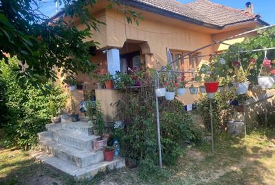 Casa cu gradina si anexe de vanzare, Balta, com. Runcu, Gorj - 2