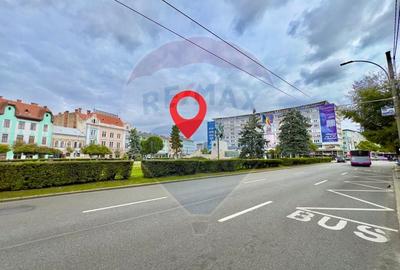 Apartament exclusivist, 2 camere, prima inchiriere - Mihai Viteazu Apartament exclusivist, 2 camere, prima inchiriere - Mihai Viteazu - 6