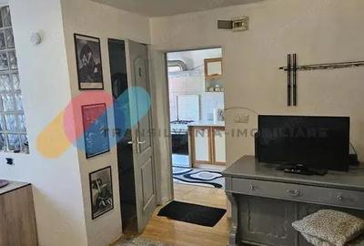 Apartament 1 camera la casa, cu terasa ?i curte Andrei Mure?anu, PET FRIENDLY Apartament 1 camera la casa, cu terasa ?i curte Andrei Mure?anu, PET FRIENDLY - 3