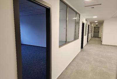 Union Business Center 2, Cismigiu, 291 - 1717 mp  0% comision! - 13