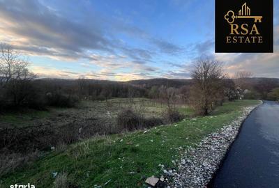 Teren de 2200 mp, în Goranu - 6