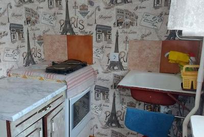 Apartament cu 2 camere de vanzare in zona Giurgiului - 3