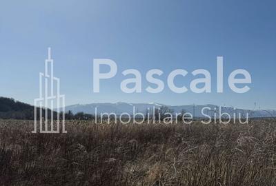 Spațiu comercial, în Bungard - 3