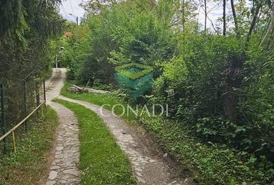 Teren Construcții intravilan de 800 mp, în Exterior Vest - 18