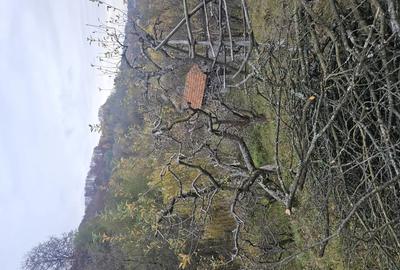 Casă cu 4 camere în Văleni-Dâmbovița - 2