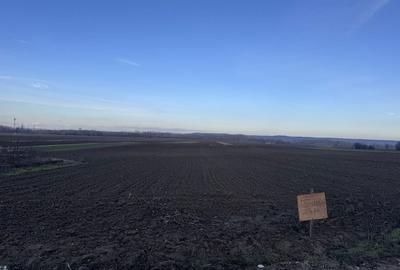 Spațiu comercial, în Bâlta - 2