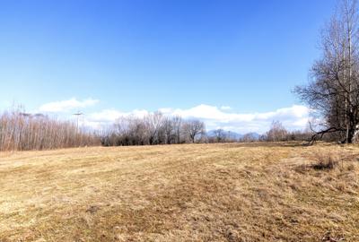 Teren Construcții intravilan de 5967 mp, în Bran - 5