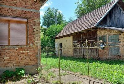 Casă cu 3 camere cu Teren 2913 Mp în Măhăceni - 5