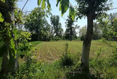 Teren de 5390 mp, în Vladimir - 4