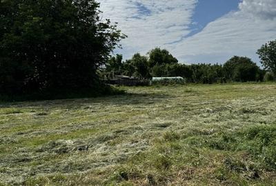 Teren de 3800 mp, în Găești - 4