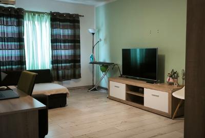 Apartament cu 2 camere decomandat, mobilat în Bucovina - 10