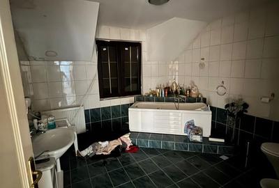 Casă cu Teren 1090 Mp în Elisabetin - 15