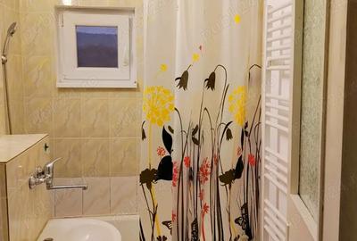 Inchiriez gasoniera - 6