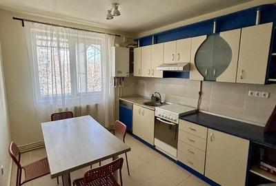 Apartament cu 2 camere semidecomandat în Careiului - 4