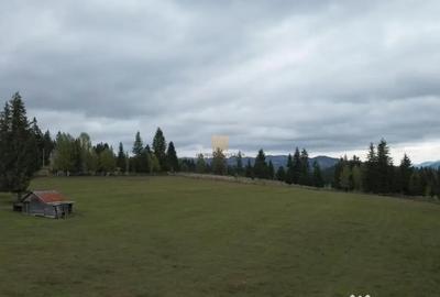 Teren de 16813 mp, în Fundu Moldovei - 1