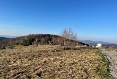 Spațiu comercial, în Damiș - 2