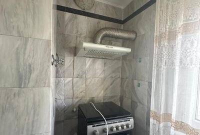 VIGAFON - Apartament 3 camere Paltinis - 20