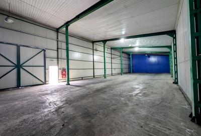 Dipozit/Showroom , Centura Bucuresti , 800 mp - 1