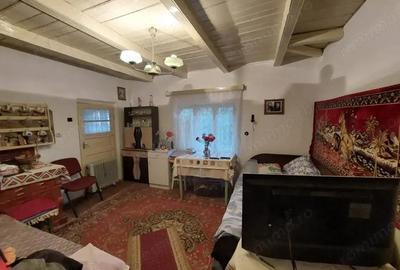 Casa batraneasca bine intretinuta in Bahna - 7