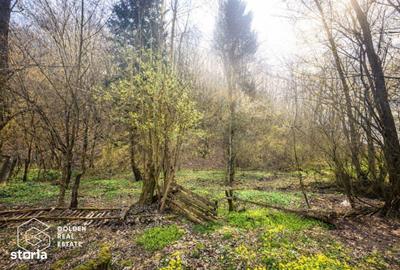 Casă cu 3 camere decomandat în Gura Văii - 6