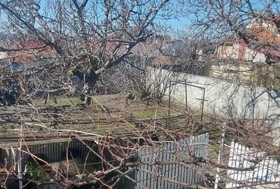 Stadion - Delfinariu - Casa - 10