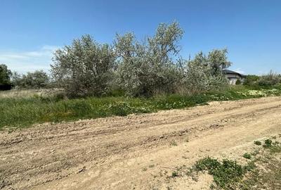 TEREN INTRAVILAN DESTINATIE REZIDENTIALA. TEREN INTRAVILAN DESTINATIE REZIDENTIALA. - 7