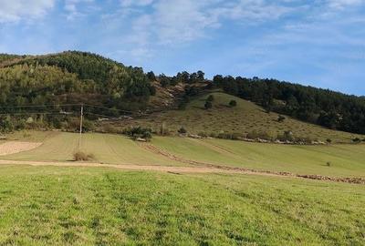 Teren de 6700 mp, în 700 - 3